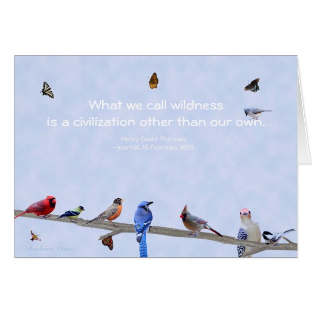 私達の専有物以外のBirds&蝶文明 (正面横)