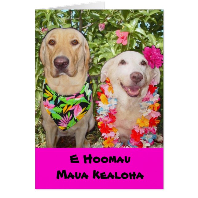 私達の愛最後は永久によろしいです! (正面)