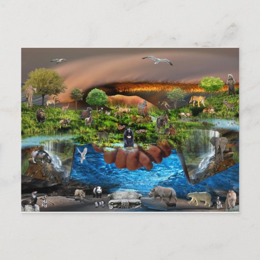 私達の手の全世界 ポストカード (正面)