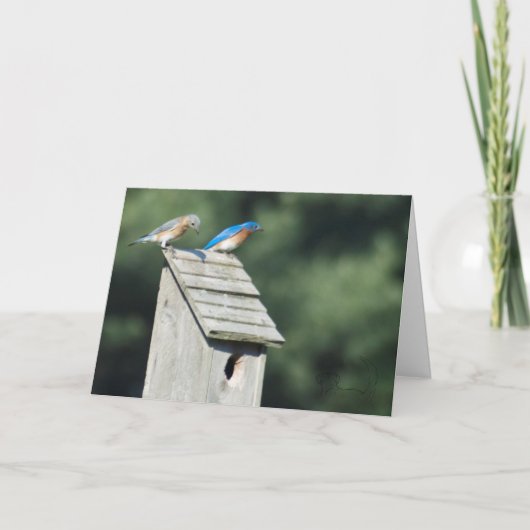 私達の新しい家、カード 案内状 (正面)