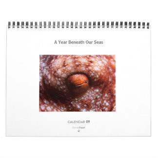 私達の海の下の年-カレンダー2009年 カレンダー
