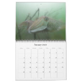 私達の海の下の年-カレンダー2009年 カレンダー (1月 2026)