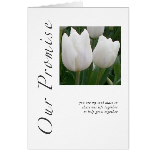 私達の約束のチューリップ (正面)