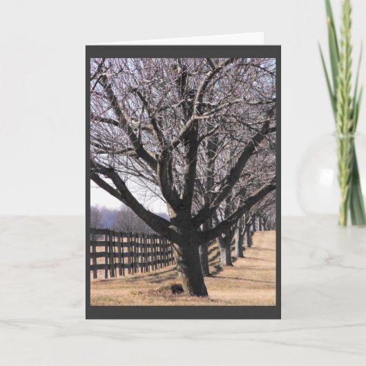 私達の退役軍人6を感謝していして下さい シーズンカード (正面)