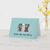 私達の2からのゴールデン・リトリーバーバースデー・カード カード (黄色い花)