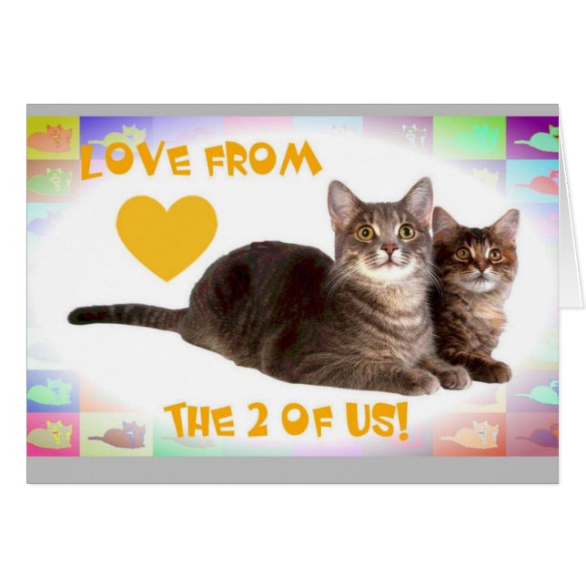 私達の2からの愛! (正面横)