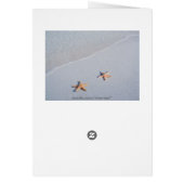 私達の2 |の海愛ヒトデ (裏面)