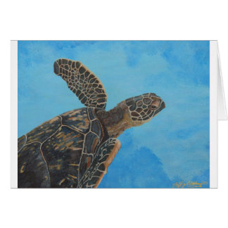 私達のhanu 5x6.5 300