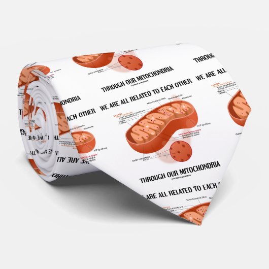 私達はすべてMitochondriaを通って互い関連付けられます ネクタイ (ロール)