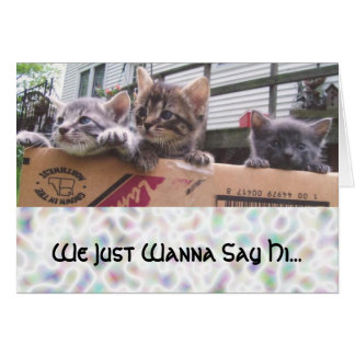 私達はちょうどこんにちは…言いたいと思います