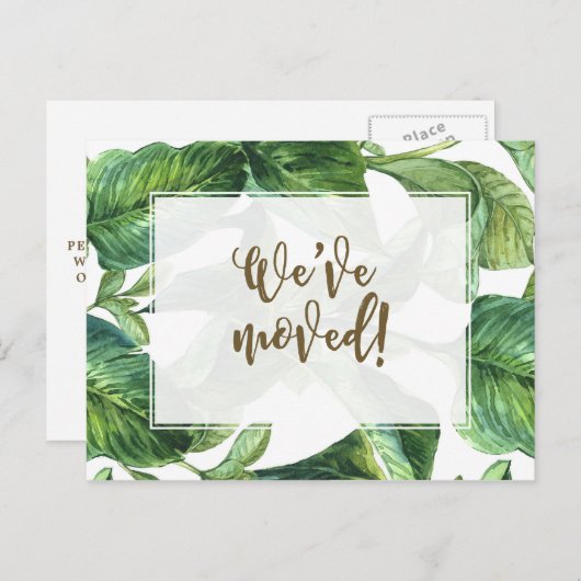 私達はアドレス変更熱帯やしを動かしました インビテーションポストカード (正面/裏面)