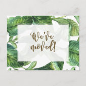私達はアドレス変更熱帯やしを動かしました インビテーションポストカード (正面)