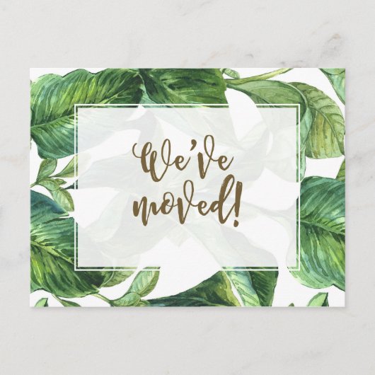 私達はアドレス変更熱帯やしを動かしました インビテーションポストカード (正面)
