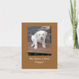 私達はカスタマイズ可能な新しい小犬の発表を有します 案内状