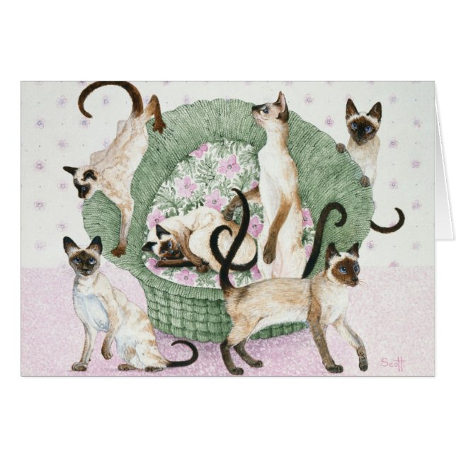 私達はシャムです (正面横)