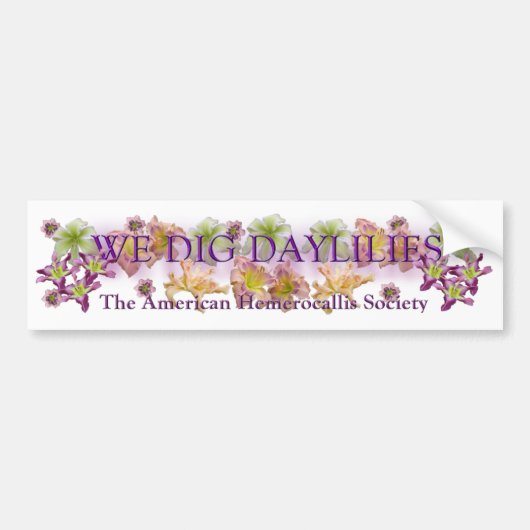 私達はワスレグサのロゴを掘ります バンパーステッカー (正面)