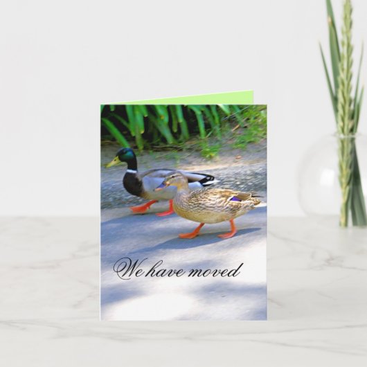 私達は動きました! _ 案内状 (正面)