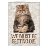 "私達は古い"猫好きの誕生日を得たにちがいありません (正面)