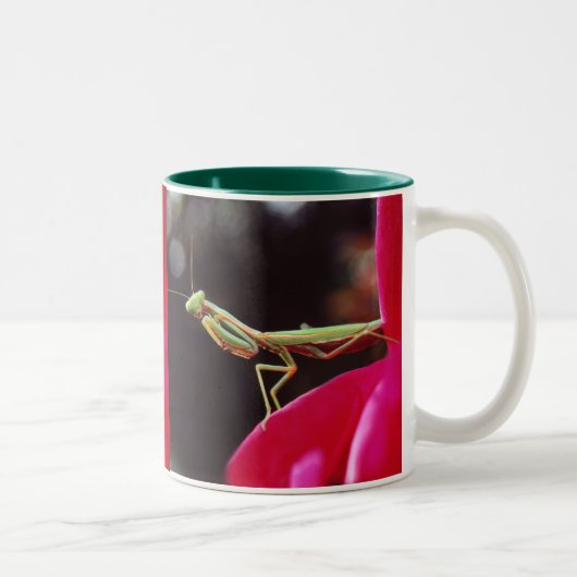 私達は導入されましたか。 ツートーンマグカップ (右)