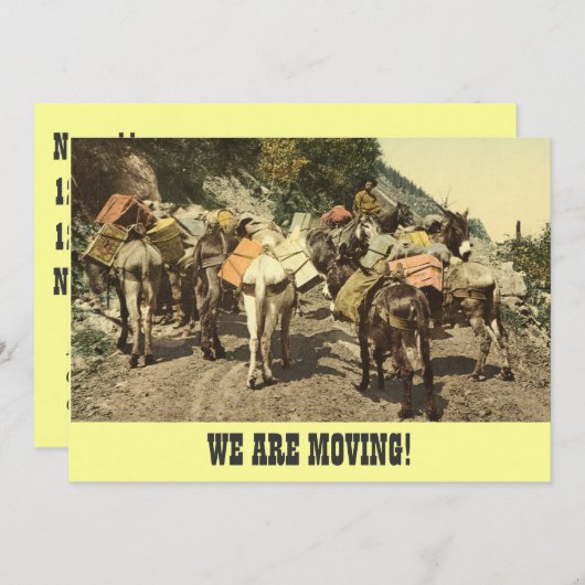 私達は発表を動かしています 案内状 (正面/裏面)