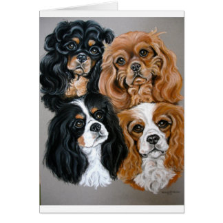 私達は私達のCaviesを愛します