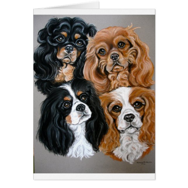 私達は私達のCaviesを愛します (正面)