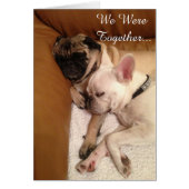 私達は…一緒にありました (正面)