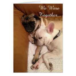 私達は…一緒にありました