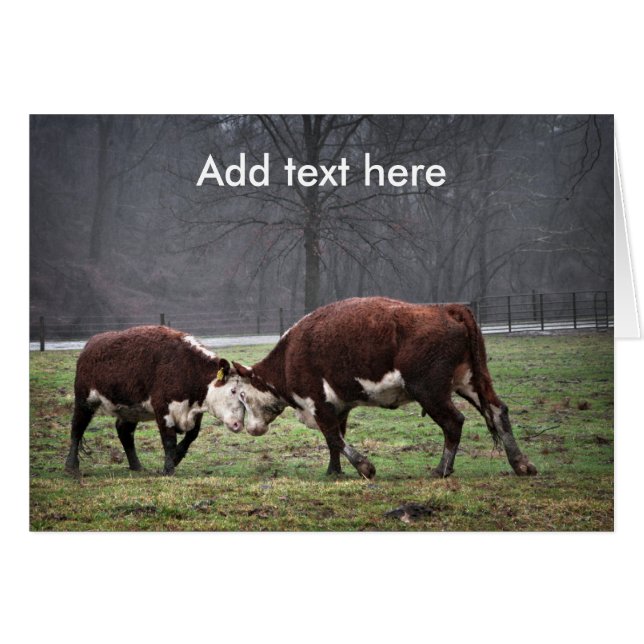 私達はMoooooving…です (正面横)