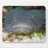 私達を見ているToadfish マウスパッド (正面)