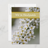 私達新婚者のSpiraeaの郵便はがきに関して` 案内ポストカード (正面/裏面)