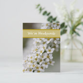 私達新婚者のSpiraeaの郵便はがきに関して` 案内ポストカード (スタンド正面)