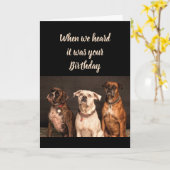 私達皆からの誕生日のユーモアボクサー犬のおもしろい カード (黄色い花)