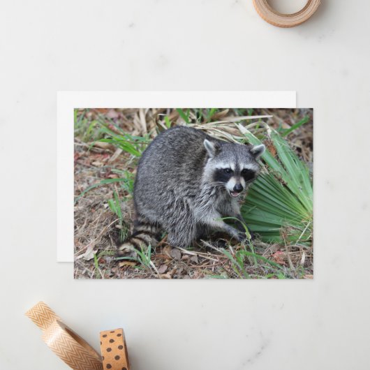 私離れ一人 ノートカード (正面/裏面インサイチュ)