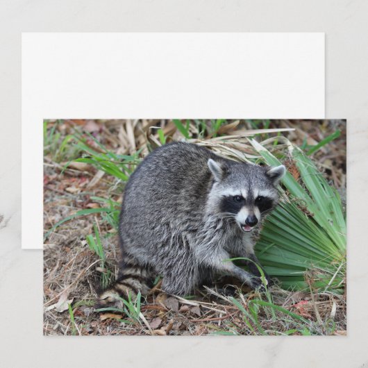 私離れ一人 ノートカード (正面/裏面)