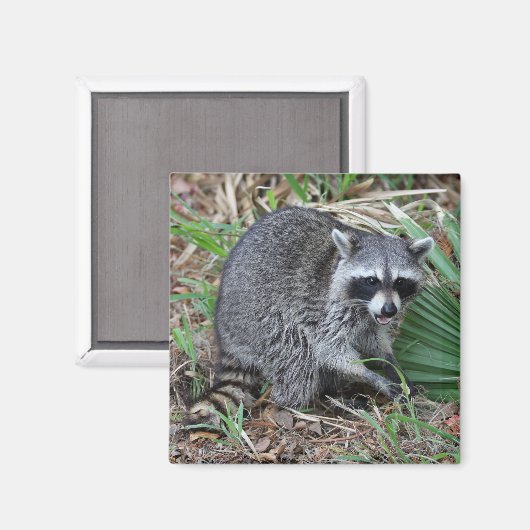 私離れ一人 マグネット (正面/裏面)