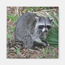 私離れ一人 マグネット