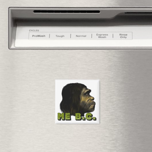 私B.C. マグネット (インサイチュ (食洗機))
