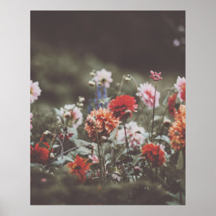 秋かわいらしの花写真撮影 ポスター