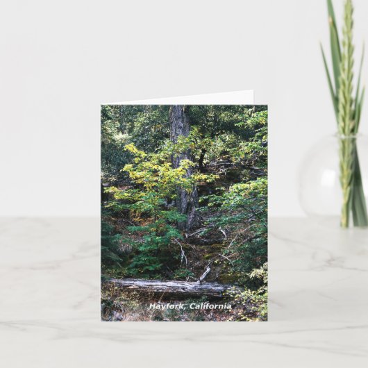 秋が来た…..... カード (正面)