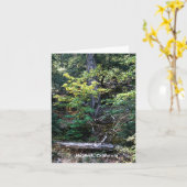 秋が来た…..... カード (黄色い花)