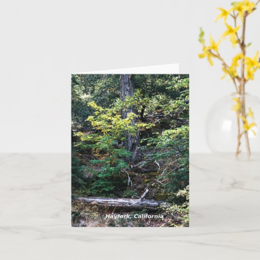 秋が来た…..... カード (黄色い花)