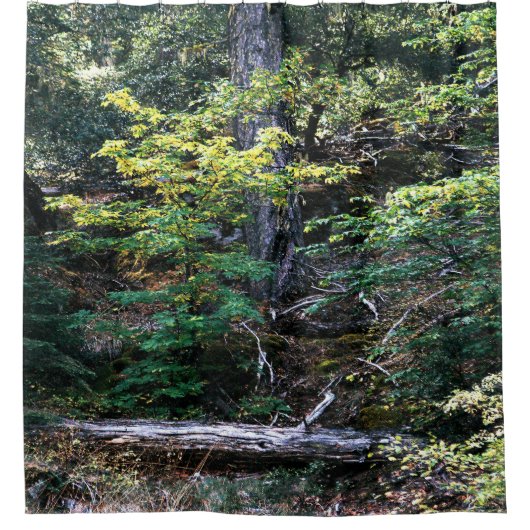 秋が来た…... シャワーカーテン (正面)