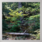 秋が来た…..... ポスター (正面)