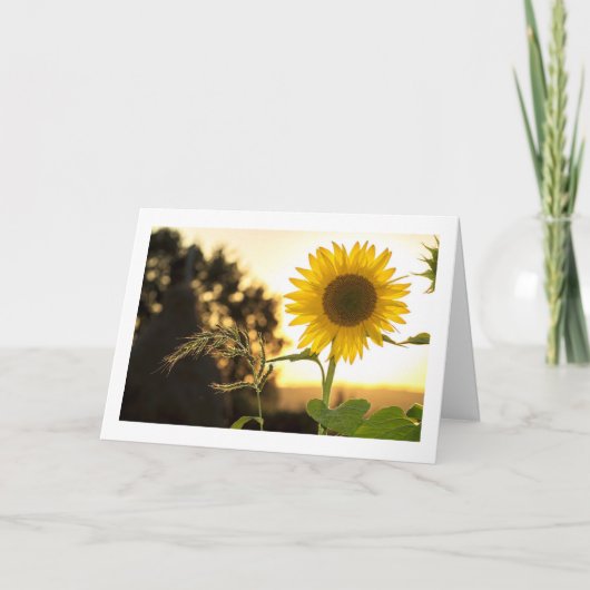 秋が来て感謝祭が近い カード (正面)