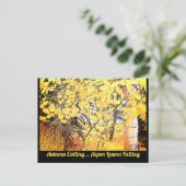 秋が来て…《植物》アスペン離れが下がっている。C ポストカード (スタンド正面)