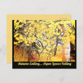 秋が来て…《植物》アスペン離れが下がっている。C ポストカード (正面/裏面)