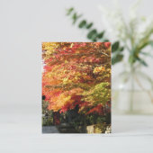 秋によって並べられる通り、日光、日本 ポストカード (スタンド正面)