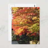 秋によって並べられる通り、日光、日本 ポストカード (正面/裏面)
