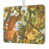 秋にニューヨーク紅葉リバーサイドパークNYC カーエアーフレッシュナー (左)